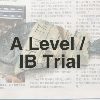 A Level IB Trial